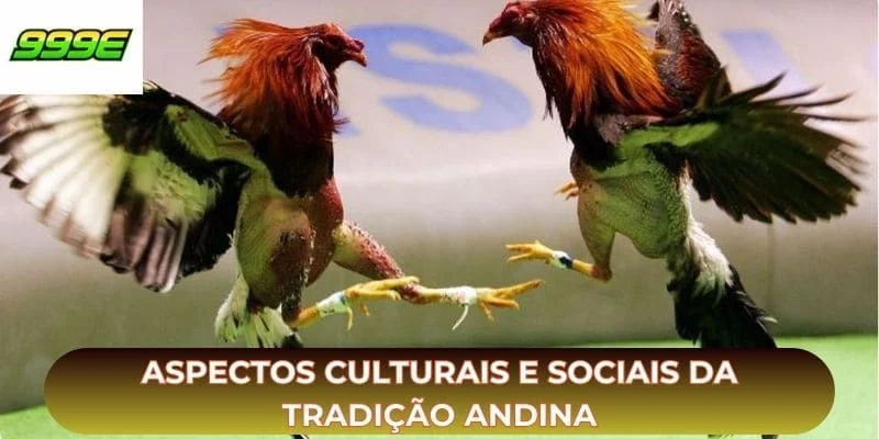 Aspectos culturais e sociais da tradição andina