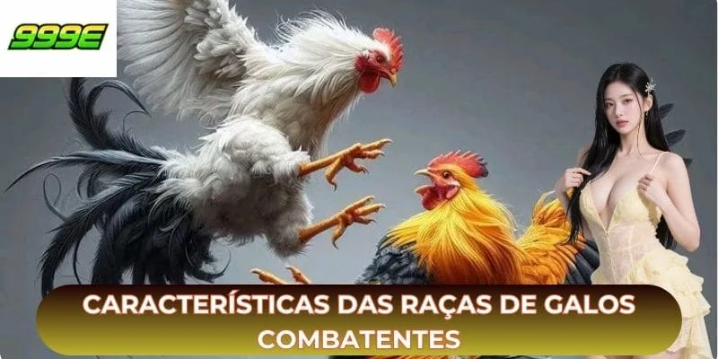 Características das raças de galos combatentes