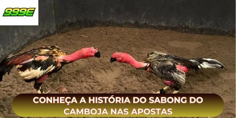 Conheça a história do sabong do camboja nas apostas