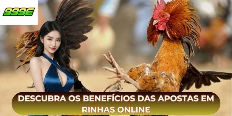 Descubra os benefícios das apostas em rinhas online