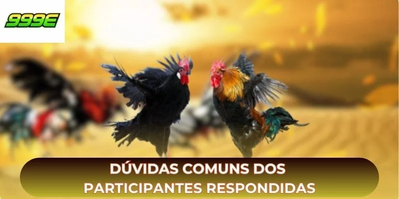 Dúvidas comuns dos participantes respondidas