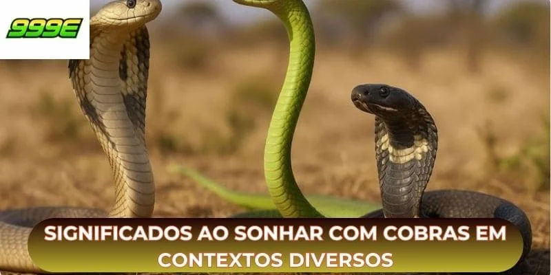 Significados ao sonhar com cobras em contextos diversos